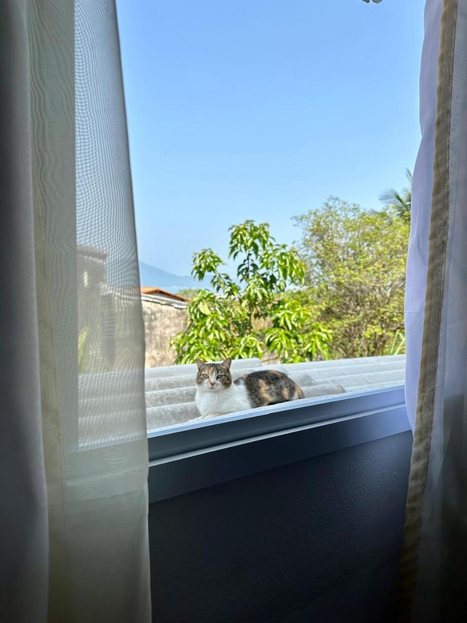 Holiday home Refugio Dos Gatos