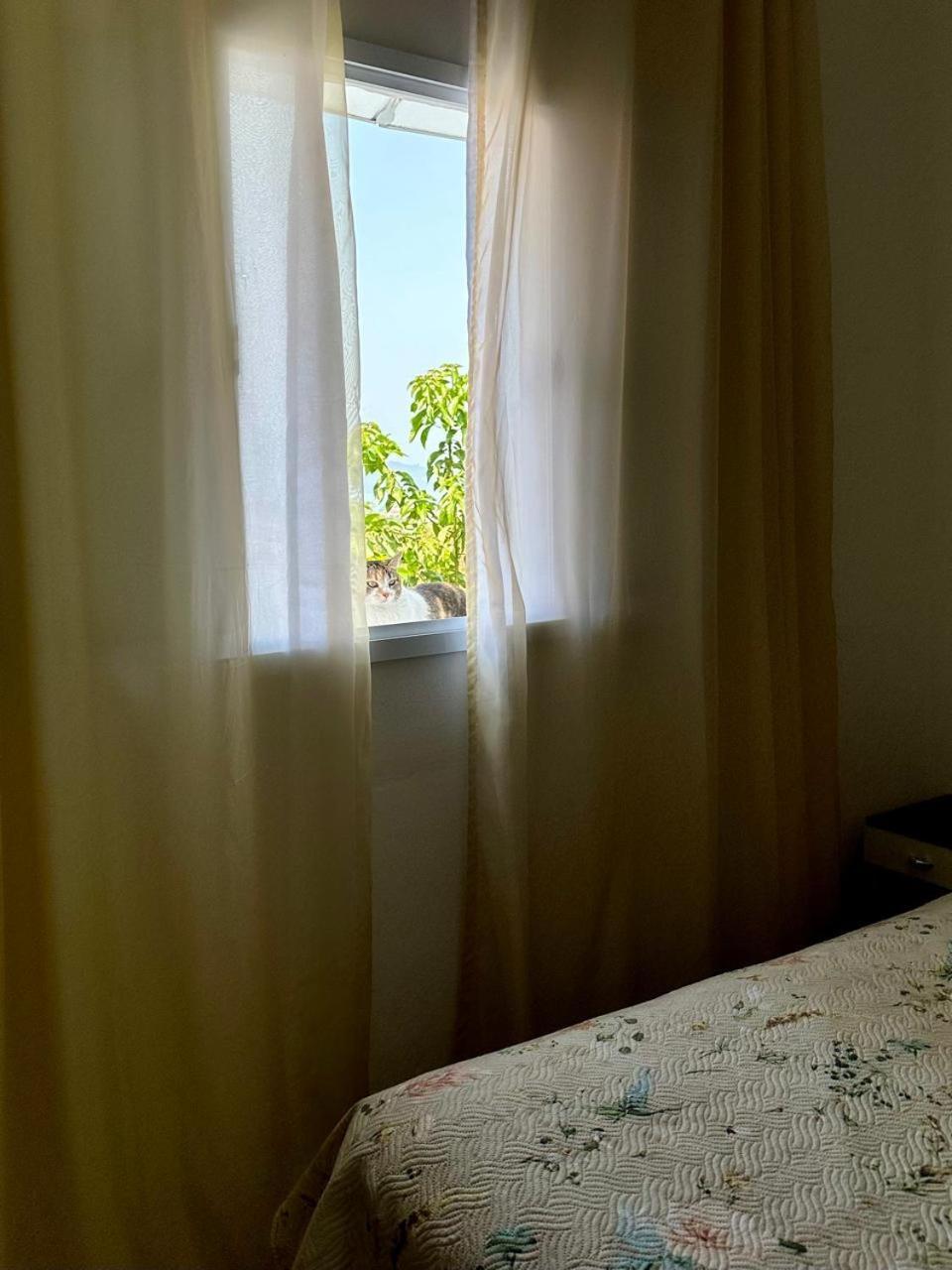 Refugio Dos Gatos Ubatuba